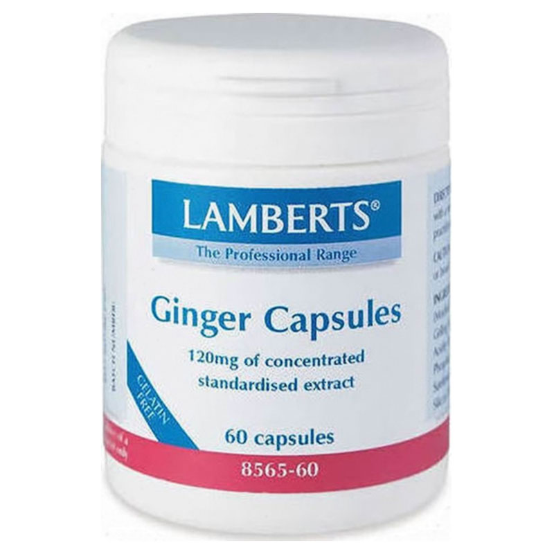 Lamberts Ginger 120mg 60 tabs - healthspot overespa