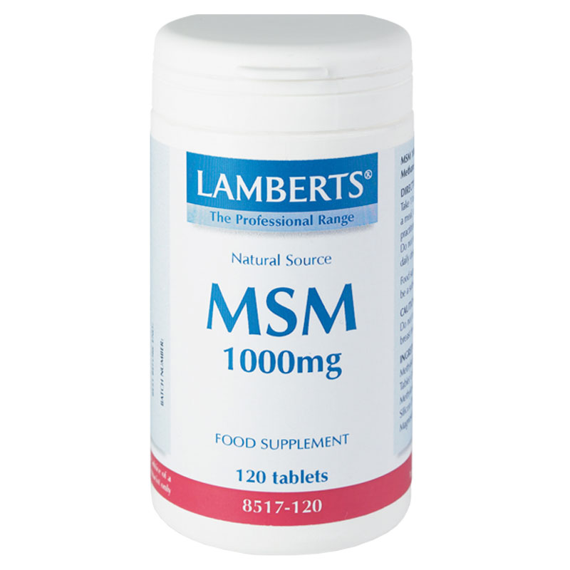Lamberts Msm Δομικό συστατικό του αρθρικού χόνδρου, 1000mg 120caps Healthspot Overespa