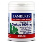 Ginkgo biloba 600mg 30t Το Ginkgo Biloba αποτελεί το πιο ευρέως χρησιμοποιούμενο βότανο - healthspot overespa
