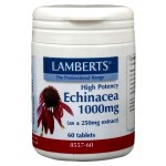 Lamberts Echinacea Φυτοθεραπεία, 1000mg 60caps Healthspot Overespa