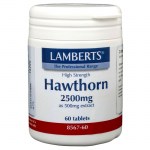 Lamberts Hawthorn Με αγγειοδιασταλτική δράση, 2500mg 60tabs Healthspot Overespa