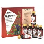 power Health Floradix  10 X 20 Ml Γυναικείο τονωτικό με σίδηρο Healthspot Overespa